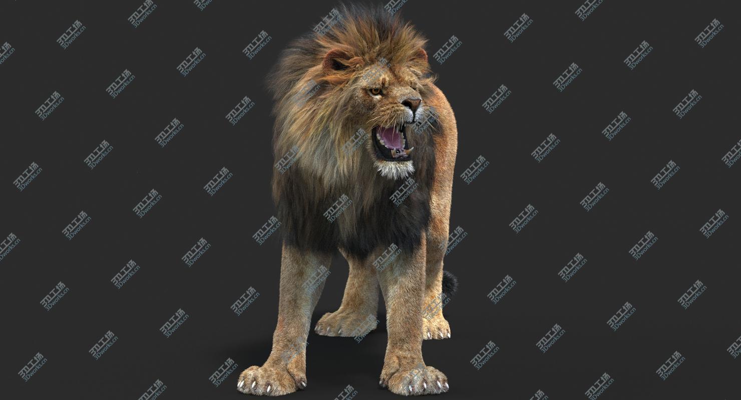 images/goods_img/2021040162/Lion 2 (Fur) (Rigged)/5.jpg